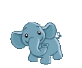 elefant